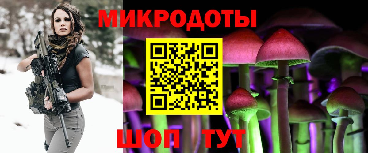 Псилоцибиновые грибы прущие грибы Санкт-Петербург