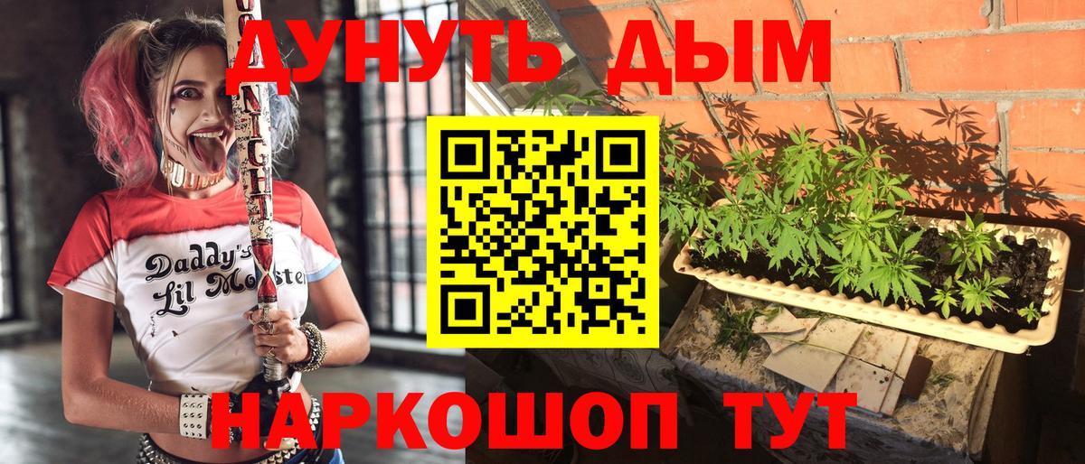 Каннабис ГИДРОПОН Санкт-Петербург